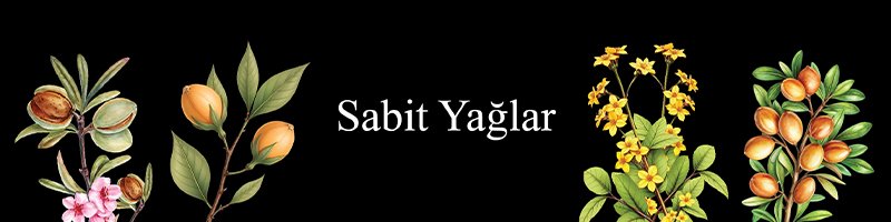 Sabit Yağlar