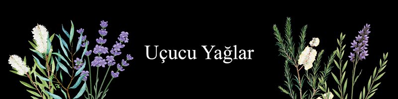 Uçucu Yağlar