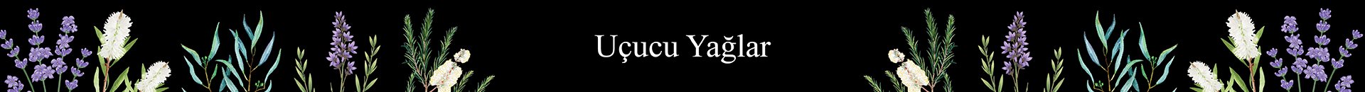 Uçucu Yağlar