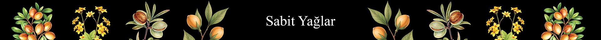 Sabit Yağlar