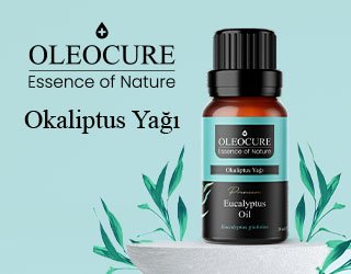 Okaliptus